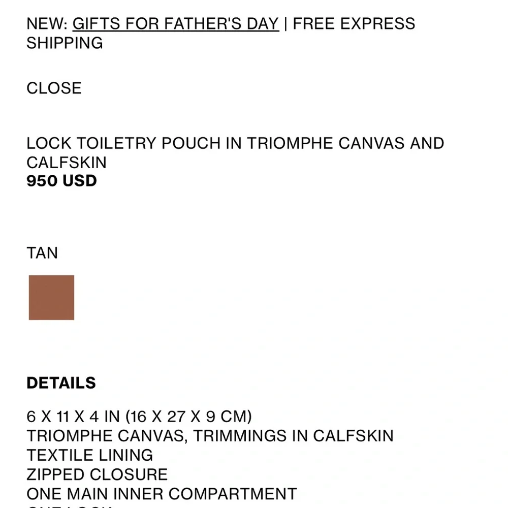 Celine Triomphe Canvas and Calfskin Toiletry Bag - Picture 11 of 15
